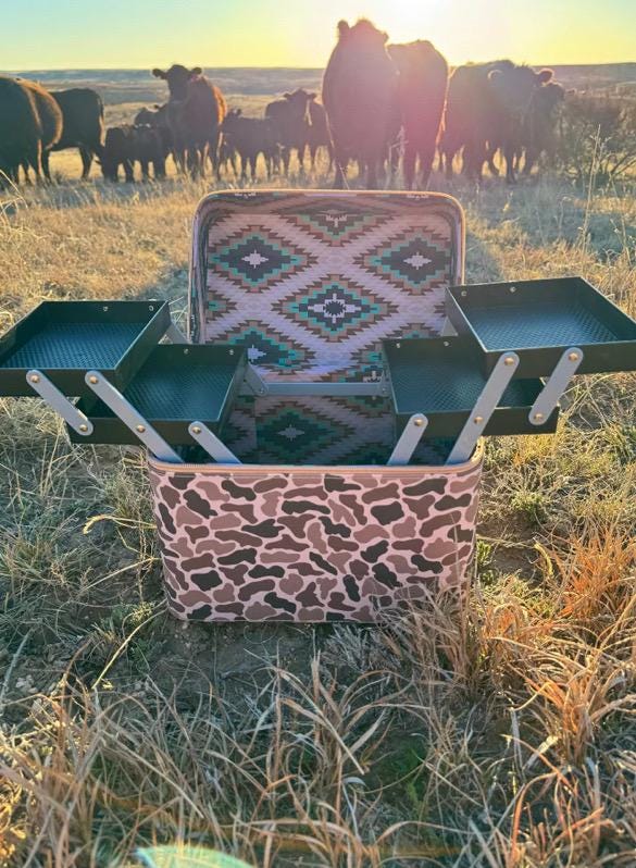 Take the Lead Caddy Box Makeup Kaboodle Caboodle Case Jewelry Box