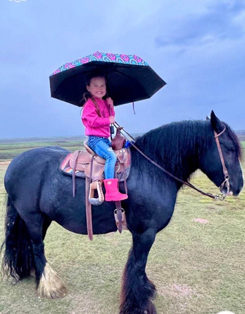 Montezuma Umbrella by Sterling Kreek Aztec Southwestern - Graced By The South